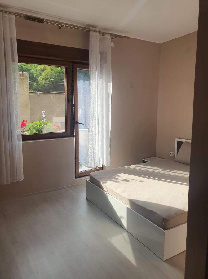 Ferienwohnung Casa Simionov Băile Herculane Exterior foto